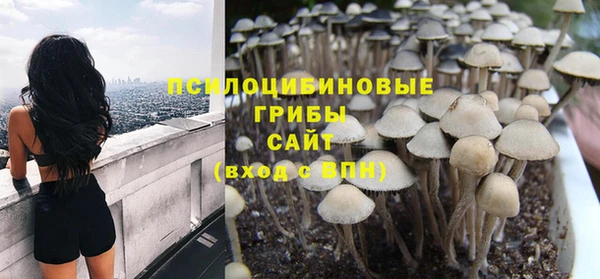 a pvp Михайлов